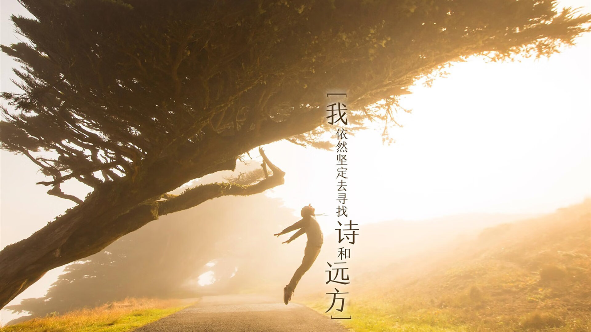 Leyu Sports (乐鱼体育)-特色流动体操表演，城市街角的精彩 show，流动性舞蹈动作