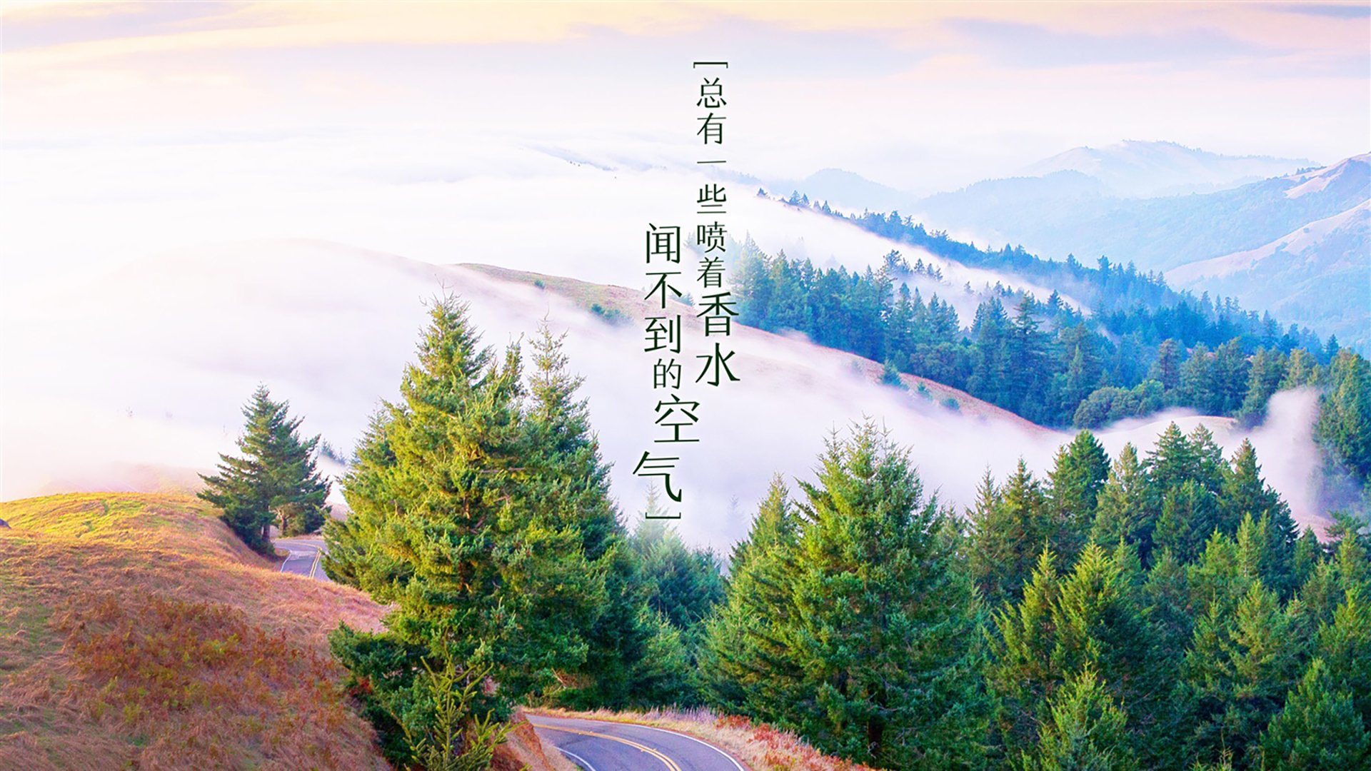 五后卫阵型是否正在取代经典四后卫体系，五后卫阵型是否正在取代经典四后卫体系了