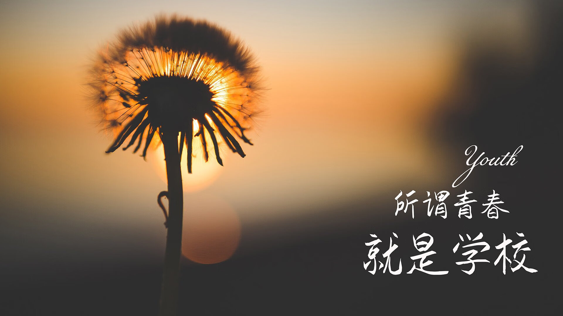 西班牙马术科研团队研发出新型马术训练设备，助力骑手提升技能。