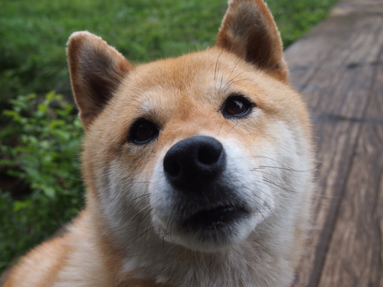 比利时男篮在欧洲预赛中全力以赴,冲击奥运席位,比利时男篮3v3