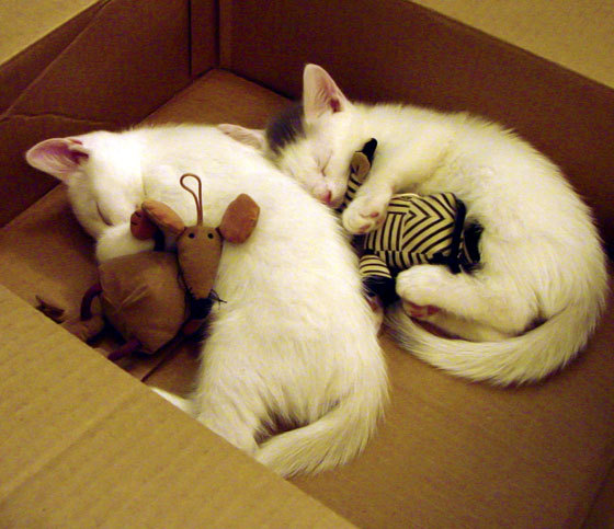 西甲加时紧张:惊险瞬间,燃爆全场!,西甲联赛有加时赛吗